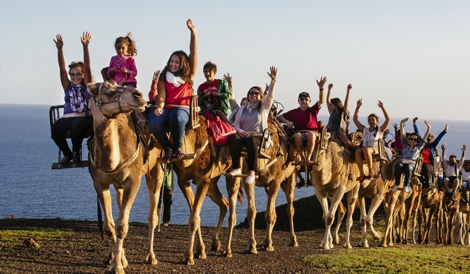 camels-oasis-park-fuerteventura